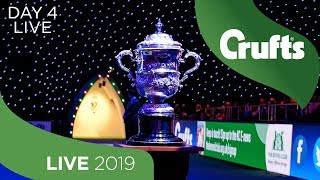 Day 4 LIVE  Crufts 2019 [upl. by Lunetta]