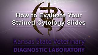 How to Evaluate Your Stained Cytology Slides [upl. by Sinegold]