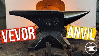 Budget Anvil I REVIEW OF VEVOR ANVIL I [upl. by Ahtel]