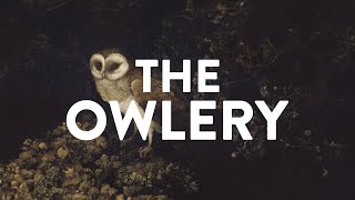 History of the Hogwarts Owlery [upl. by Paul]