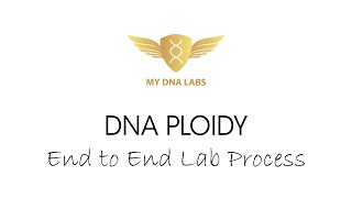 DNA Ploidy End to End Lab Process [upl. by Nomzaj]