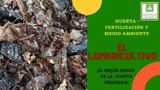 ¿CÓMO ORGANIZAR UN LOMBRICULTIVO EN LA HUERTA CASERA O EDUCATIVA [upl. by Haggerty316]