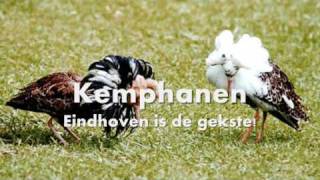 Kemphanen  Eindhoven is de gekste [upl. by Marb]