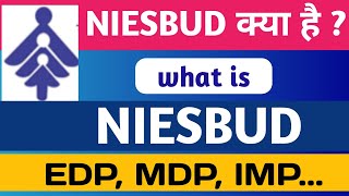 What is niesbud  all about niesbud programs  entrepreneurship development [upl. by Arocahs141]