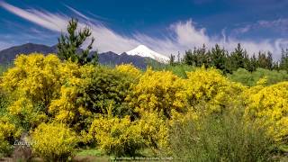 4K Drone Villarrica Volcano Stock Footage Patagonia Chile Clip 39 [upl. by Aemat]