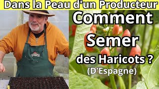 Haricots Magiques dEspagne Quels sont les secrets pour une germination optimale [upl. by Edmonda]