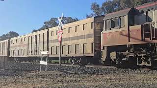 3AM9 SCT intermodal  steel to Melbourne 1550 30724 Lubeck VIC [upl. by Aerol]