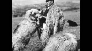 Sârbă ciobănească  Pastoral dance [upl. by Comfort]