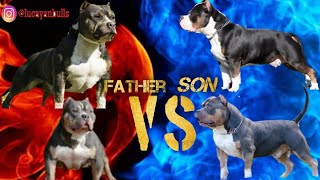 Would you Breed to the Father or the Son [upl. by Ainesy639]