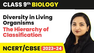 The Hierarchy of Classification  Diversity in Living Organisms  Class 9 Biology  202324 [upl. by Ardnuhsal913]