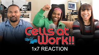 Cells at Work 1x7 quot Cancer Cells quot GROUP REACTION [upl. by Alset480]