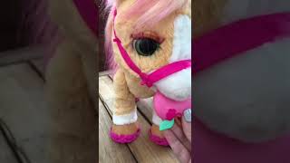 FurReal Cinnamon My Stylin’ Pony 🐎 shorts pony horse animatronics cuteanimals asmr [upl. by Aleac]