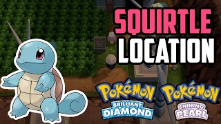 How to Catch Squirtle  Pokémon Brilliant Diamond amp Shining Pearl [upl. by Reiche]