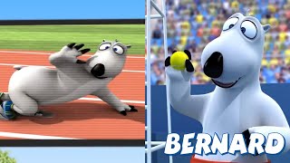 🐻‍❄️ BERNARD in the OLYMPIC GAMES  Full Episodes  VIDEOS and CARTOONS FOR KIDS [upl. by Ermin]