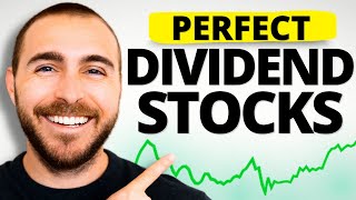 20 PERFECT Dividend Stocks For BRAND NEW Investors [upl. by Ainival101]