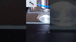 AP MICROSCOPE 52microscope microccopvideohowtomicroscopvideo [upl. by Nabila]