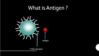 Antigens [upl. by Vinay]