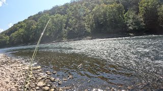 Boaters skip over this water type Smallmouth fishing [upl. by Clyde]