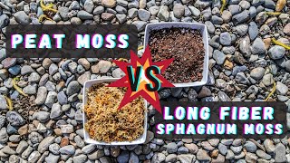 Peat Moss Vs Sphagnum Moss Best Venus Flytrap Soil Mix Substrate  What Is The Difference [upl. by Oby]