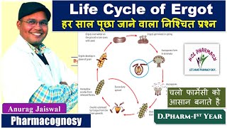 Life cycle of Ergot  Claviceps  In easy Way  Pharmacognosy [upl. by Nomra196]