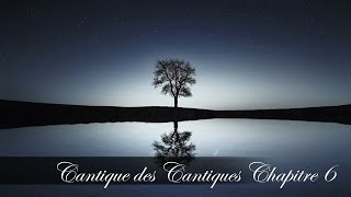 Cantique des Cantiques Chapitre 6  Cantique des Cantiques 6 [upl. by Winola]