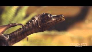 Lindwurm  Dragon Days Trailer 2013 HD [upl. by Kcirdnekal633]