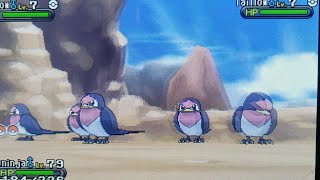 Shiny Hunting For Taillow  Pokemon X [upl. by Dajma]