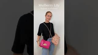 Mulberry Regular Lily vs Medium shorts [upl. by Aiden]