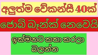 job vacancy 2024 job vacancies Job guide sri lanka job interview jobs at homegoverment jobs sl [upl. by Yerot405]