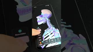 🧠 The most accurate model of the human body  Easy Anatomy 3D App [upl. by Barbaraanne]