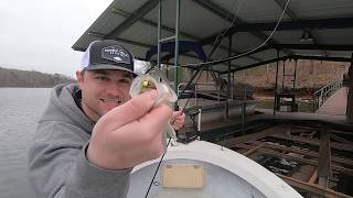 Finding Crappie using Side Imaging [upl. by Nnod607]