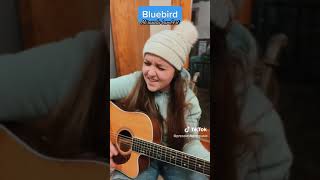 quotBluebirdquot by Miranda Lambert Cover [upl. by Murray612]