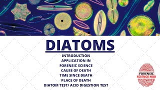 Forensic importance of diatoms  UGC NET forensic science [upl. by Eelamme434]