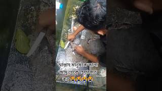 খুব ভয়ংকর কালো জাদু😭 عبدالرحمنمسعدتلاوةجديدة عبدالرحمنمسعد viralvideo shorts [upl. by Euqinimod98]