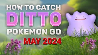 Ditto disguises for May 2024 in Pokémon GO [upl. by Sucramraj542]