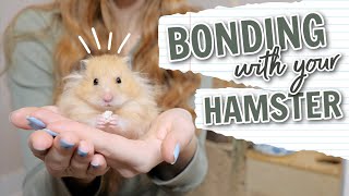 How to Bond with your Hamster [upl. by Deacon]