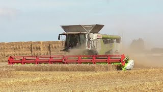 claas 8900 lexion amp new holland cr990 harvesting wheat  14 aug 2024 [upl. by Asira]