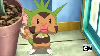 Pokemon XampY Clemonts Chespin at Level 4 Skull Dungeon Eyesoar Music [upl. by Hoffman595]