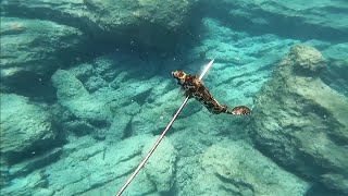 20112022 ZIPKINLA SOKAN SOKAR AVI SIGANUS RIVULATUS κουρκούνες IZGARO ISKAROZ SPEARFISHING [upl. by Neelyak]