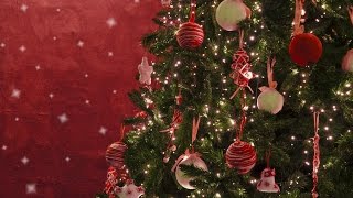 How To Decorate a Christmas Tree [upl. by Elvira]