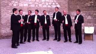 Croatian Klapa Performance [upl. by Aivek]