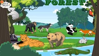 Learning about animals in the Forest with Joyland [upl. by Yttik]