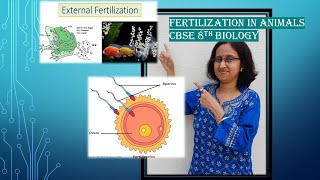 FertilizationInternalexternalInVitroViviparousoviparousDevelopmentofEmbryoCBSE8thScience [upl. by Kayley]