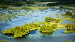 Finnish Kantele amp Finlands nature  Suomen luonto ja Nostatus quotSanan Syntyquot [upl. by Nonek3]