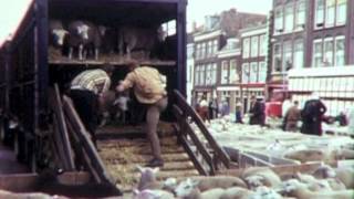 Veemarkt 1969 [upl. by Nosmirc]