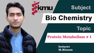 Chap10  Part1  Metabolism of Protein  BSN and Paramedic UrduHindi with solve MCQS [upl. by Mirabella]