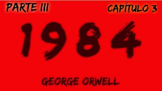 1984 Audiolibro Parte III  Capítulo 3  George Orwell [upl. by Agnimod]