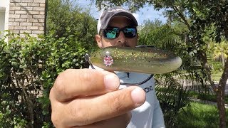 DOA PT7 Weedless Topwater Lure Review [upl. by Knowland]