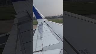 Aeroplane Mein Panchi a Gaya  Flight Ab Kya Hoga [upl. by Mikah]