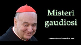 Mons Angelo Comastri – Misteri gaudiosi del Santo Rosario [upl. by Mina]